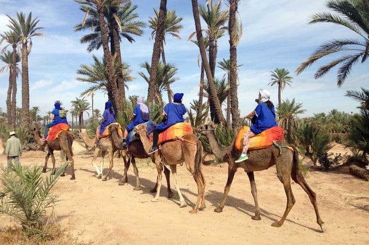 Explore the beauty of Marrakech